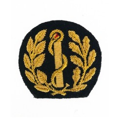 Health service pressure badge