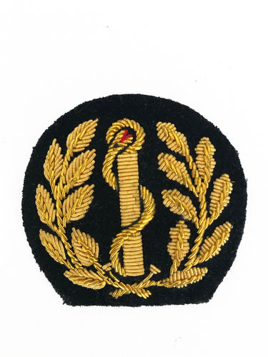 French health service cap badge