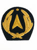 French armament cap badge